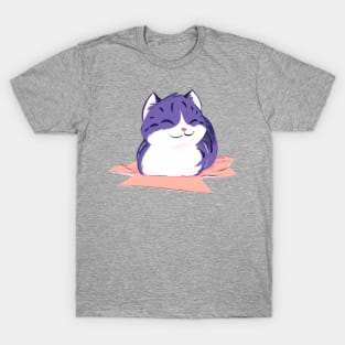 Kitty on a box T-Shirt